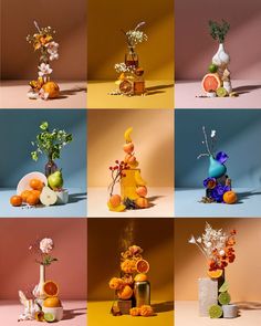 multiple images of different vases with flowers and fruits in them, all on colored background