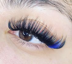 Kiss Lash Extensions, Eye Lash Design, Color Extensions, Kiss Lashes