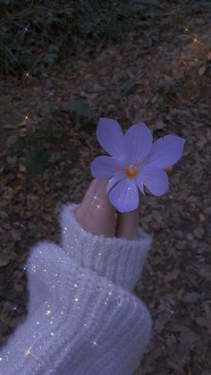 a person's hand holding a purple flower