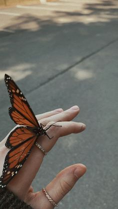 a person holding a butterfly on their hand