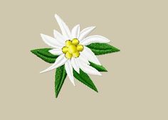 a white flower with green leaves on it's center and two yellow flowers in the middle