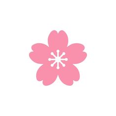 a pink flower on a white background