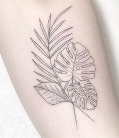 a black and white photo of a leaf on the arm