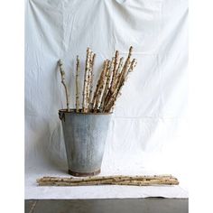 a potted plant sitting on top of a wooden floor next to a white wall