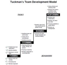 a diagram that shows the steps to team development in a business model, including task and task