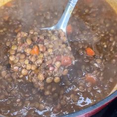 a pot full of beans and carrots with a ladle in the bottom half