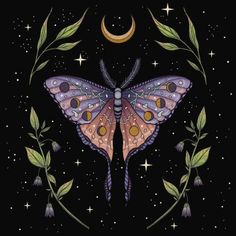 a butterfly sitting on top of a plant next to a crescent moon and star filled sky