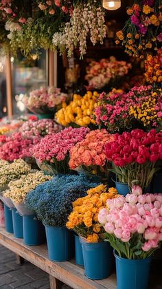 colorful flowers are on display at the flower market