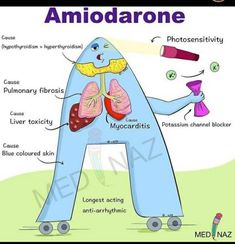 the anatomy of an animal with its major parts labeled in english and spanish on it