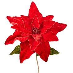 "18\" Diameter Red Velvet Poinsettia Floral Pick Add this stunning large poinsettia to your home this holiday season! It features bright red leaves trimmed in gold glitter with red glittered buds in the center! Made by Raz Imports. Made of polyester. Dimensions: 32\" length, 18\" across when petals are extended.   Perfect for christmas decorations, adding to wreaths, centerpieces, placing on your christmas tree.  Stems may be bent for shipping but are wired and can be readjusted. The listing is for one floral stem." Topper Floral, Velvet Leaves, Holiday Picks, Elf Christmas Tree, Work Wreath Forms, Raz Imports, Patriotic Christmas, Lantern Candle Decor, Work Wreath