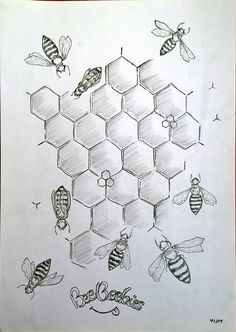 a drawing of bees and honeycombs with the word bee on it's side