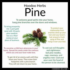 Hoodoo Herbs And Roots, Hoodoo Herbs