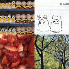 two pictures, one with strawberries and the other with faces drawn on them in different ways