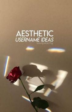 a single red rose sitting on top of a white table with the words aesthetic username ideas