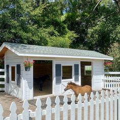 a horse is standing in front of a white fence and a small shed with flowers on it