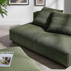 a large green couch sitting in a living room next to a plant and pictures on the wall