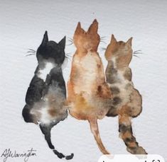 three cats that are sitting next to each other on a white surface with watercolor