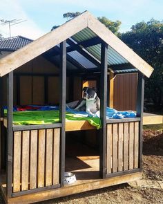 a dog sitting on top of a bed in a wooden structure next to some trees