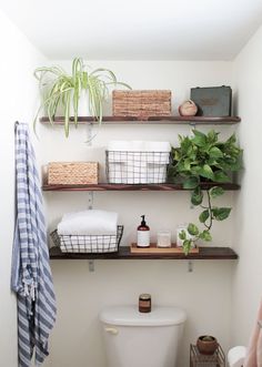 the bathroom is clean and ready to be used as a place for plants, toilet paper, and other things