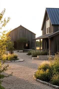 a gravel path leading to two large wooden buildings with metal roofing and windows on each side