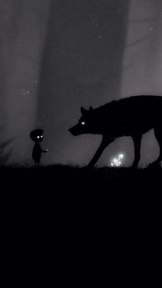 a person standing next to a wolf on top of a grass covered field at night