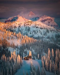 an aerial view of a snowy mountain with trees in the foreground and a house on top