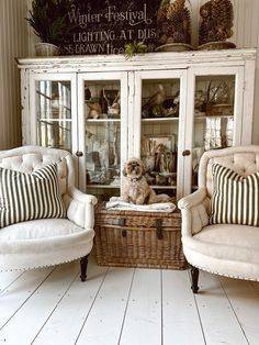 two chairs and a cabinet with a dog sitting on it in front of some plants