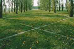 an open field with trees and flowers in the middle, surrounded by green grass on both sides