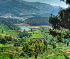 a scenic view of the valley and mountains from above, with trees in the foreground