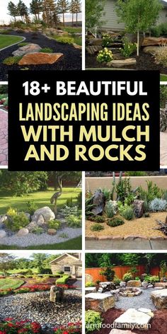 different landscaping ideas with rocks and plants in the garden, including trees, bushes, shrubs,