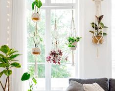 a living room filled with lots of plants and hanging planters in front of a window