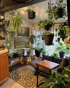 a room filled with lots of potted plants