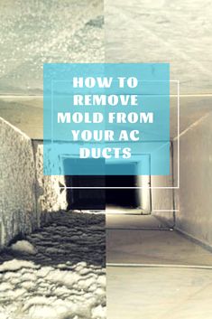 the words how to remove mold from your ac ducts