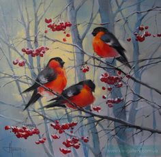 three birds sitting on top of a tree filled with berries