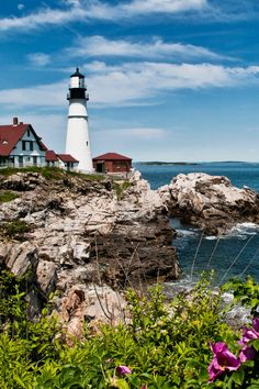 a light house sitting on top of a rocky cliff next to the ocean with purple flowers in front of it