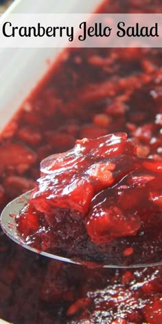 a spoon full of cranberry jello salad sauce