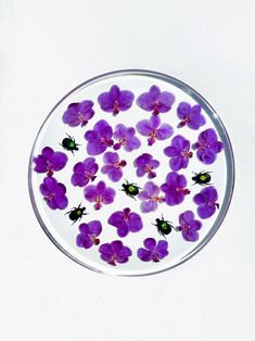 small purple flowers floating in a glass bowl