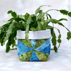 a potted plant with some green leaves on it's sides and a paper strip around the top