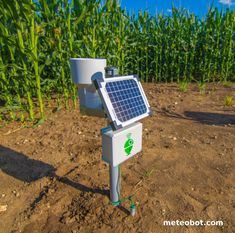 a solar powered light in the middle of a corn field