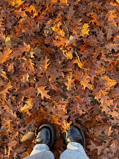 a person standing in front of leaves on the ground