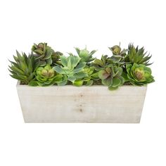 a wooden planter filled with green plants on top of a white background and text overlay that reads, succulents