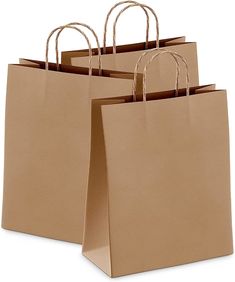 three brown paper bags with handles