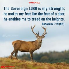 a deer standing on top of a grass covered field with a bible verse above it