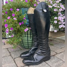 Skyler Ezzell’s Tucci Size 39 C Tall Boots In Great Condition Tall Boots, Shoes Heels Boots, Shoes Women Heels, Limited Time, Shoes Heels, Conditioner, Women Shoes, Heels, Boots