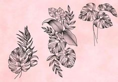 three different types of flowers on a pink background