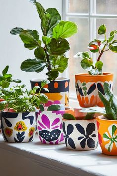 many potted plants sit on a windowsill in front of a window sill