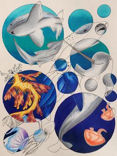 a drawing of different types of animals in the ocean with blue and white circles around them