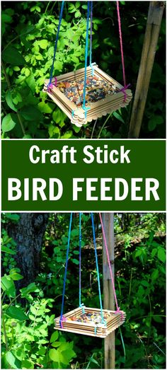 a bird feeder hanging from a wooden pole in the woods with text overlay that reads craft stick bird feeder