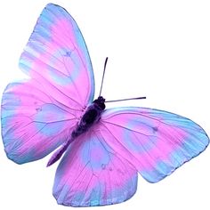 a pink and blue butterfly sitting on top of a white surface