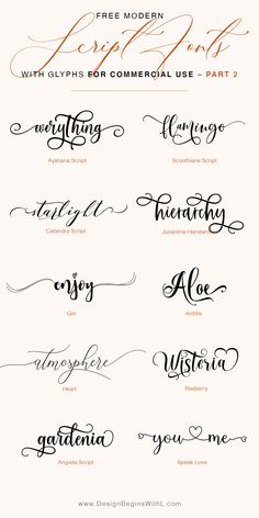 the different types of calligraphy are shown in this graphic file, and it is easy to